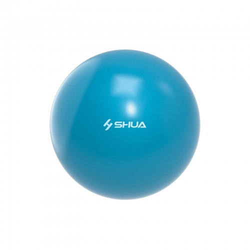 SH-S511 瑜伽球